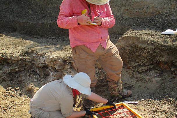 <a href='http://e82pxx.lcxjj.net'>bv伟德ios下载</a>学生在麦卡尔哈尼采石场测绘三角龙骨骼.